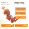 (HALAL) Perdays Pregnancy DHA 60 Soft Capsul Suplement Ibu Hamil (BUNDLING 2 pcs)